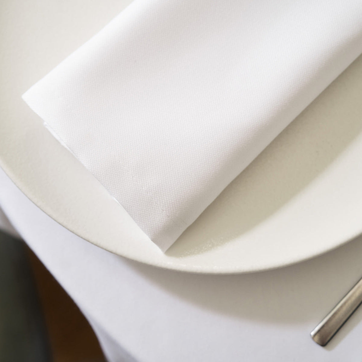 White Dinner Napkin