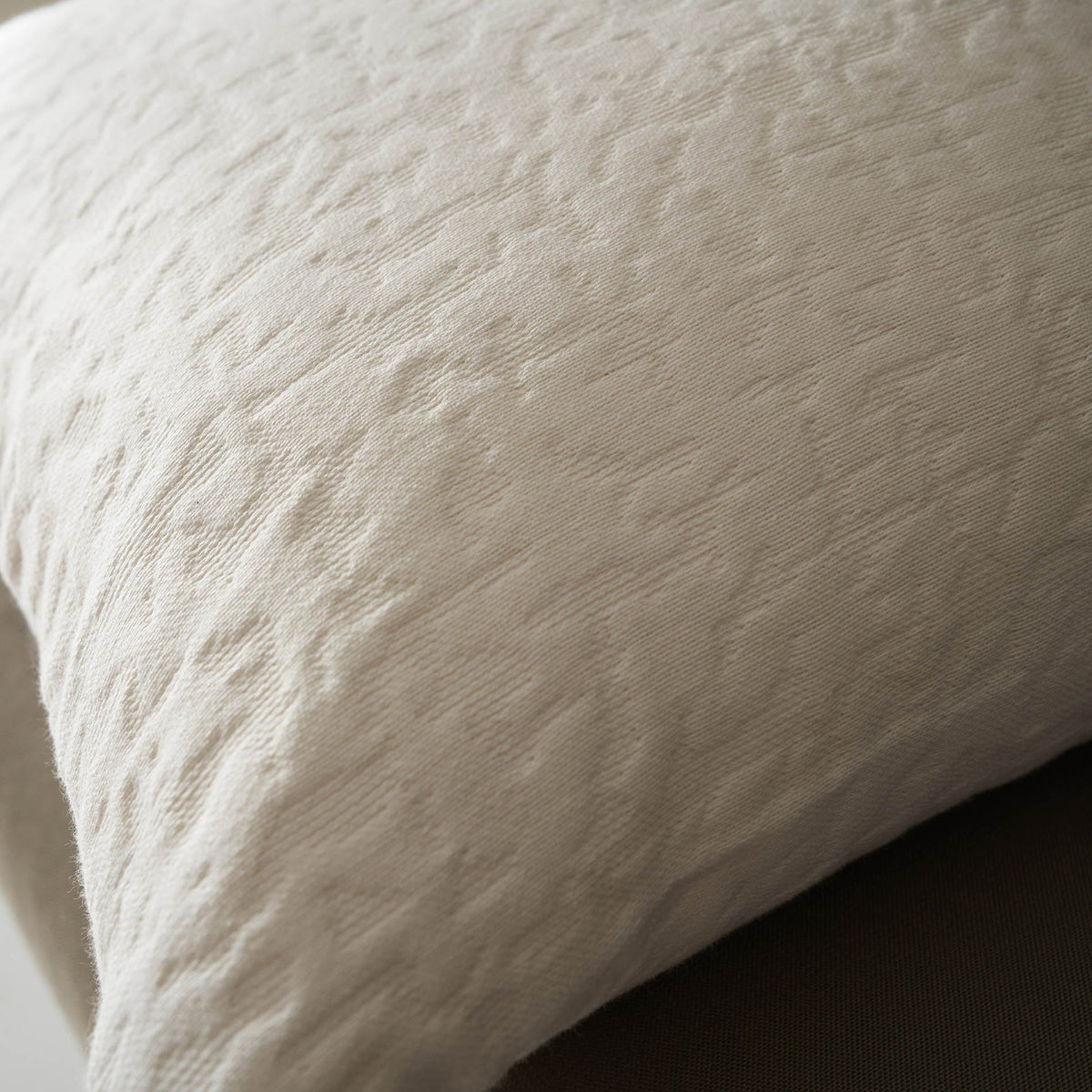 Pillowcase 50x50cm Francis Moon Ecru 729/05