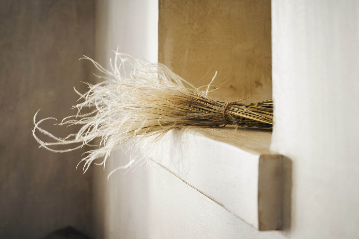 Dried flowers Stipa Pennata 112