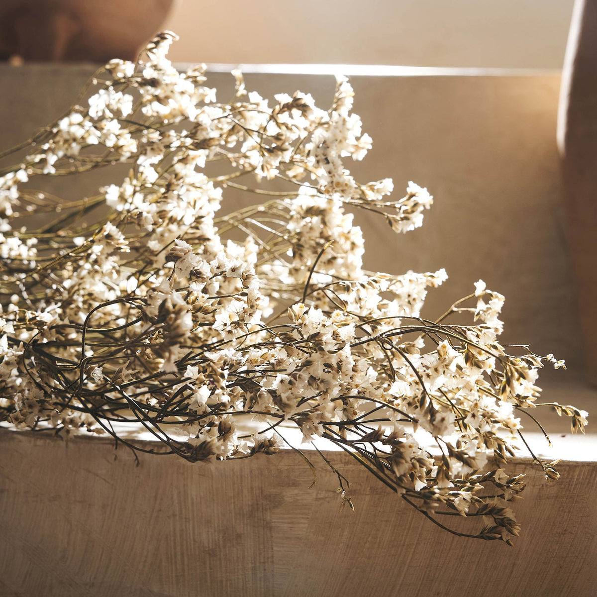Dried flowers Confetti 116