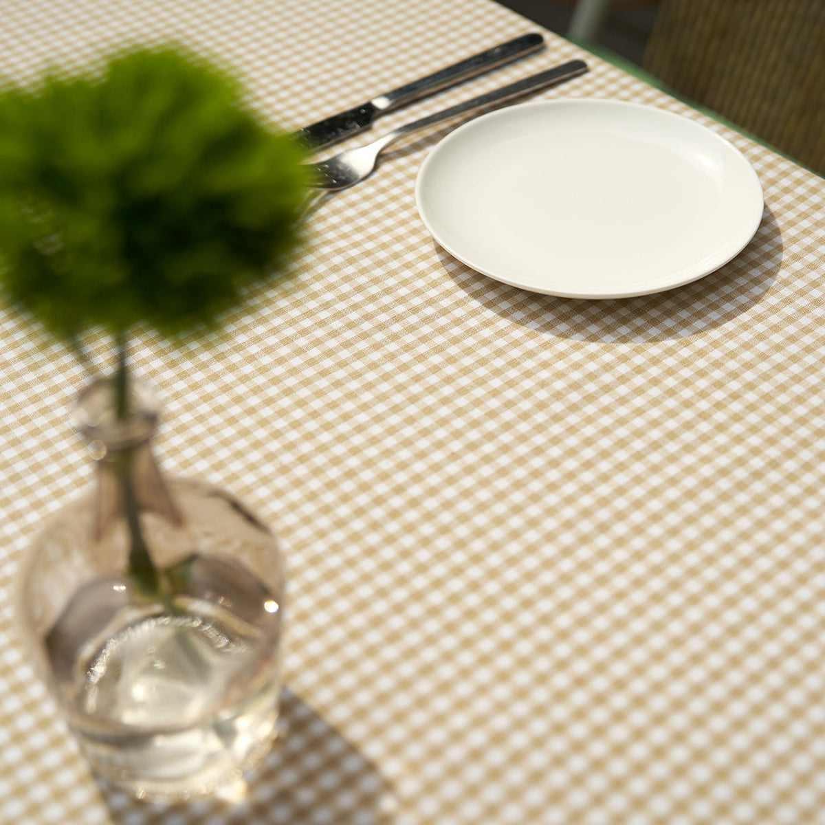 Checkered Beige tablecloth