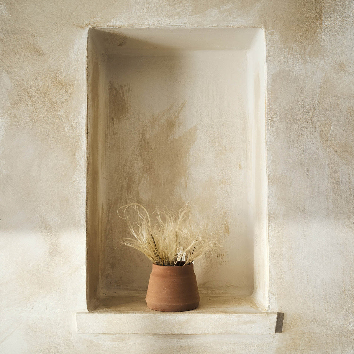 Dried flowers Stipa Pennata 112